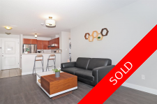 Champlain Heights Apartment for sale: Champlain Village 2 bedroom Stainless Steel Appliances, Laminate Floors 897 sq.ft. (Listed 2020-11-12)